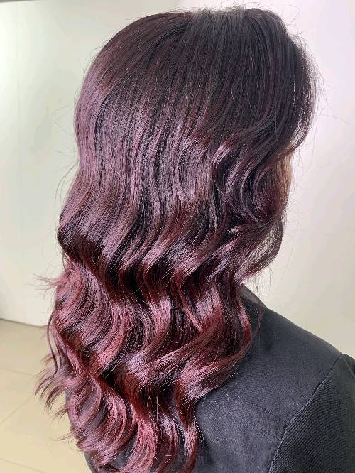 definition the hair expert